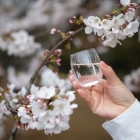 Verre Kimoto - Mai 7 Petit (100 ml) - Verre à saké