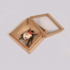 Cetoniinae - Série d'objets insectes, dans une boîte décorative en paulownia, technique kimekomi, Taille de la boîte : H5 × W11 × D11 cm