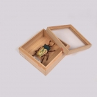 Lucane arc-en-ciel - Série d'objets insectes, dans une boîte décorative en paulownia, technique kimekomi, Dimensions de la boîte : H5 × W11 × D11 cm